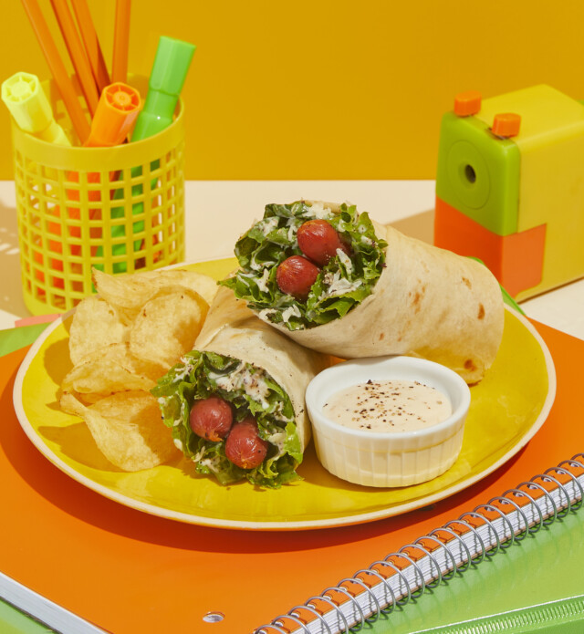 Chicken Wrap on a plate with chips and dip